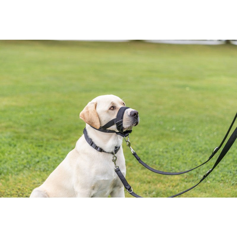 Botniță căptusită Trixie, ajustabilă pentru câini