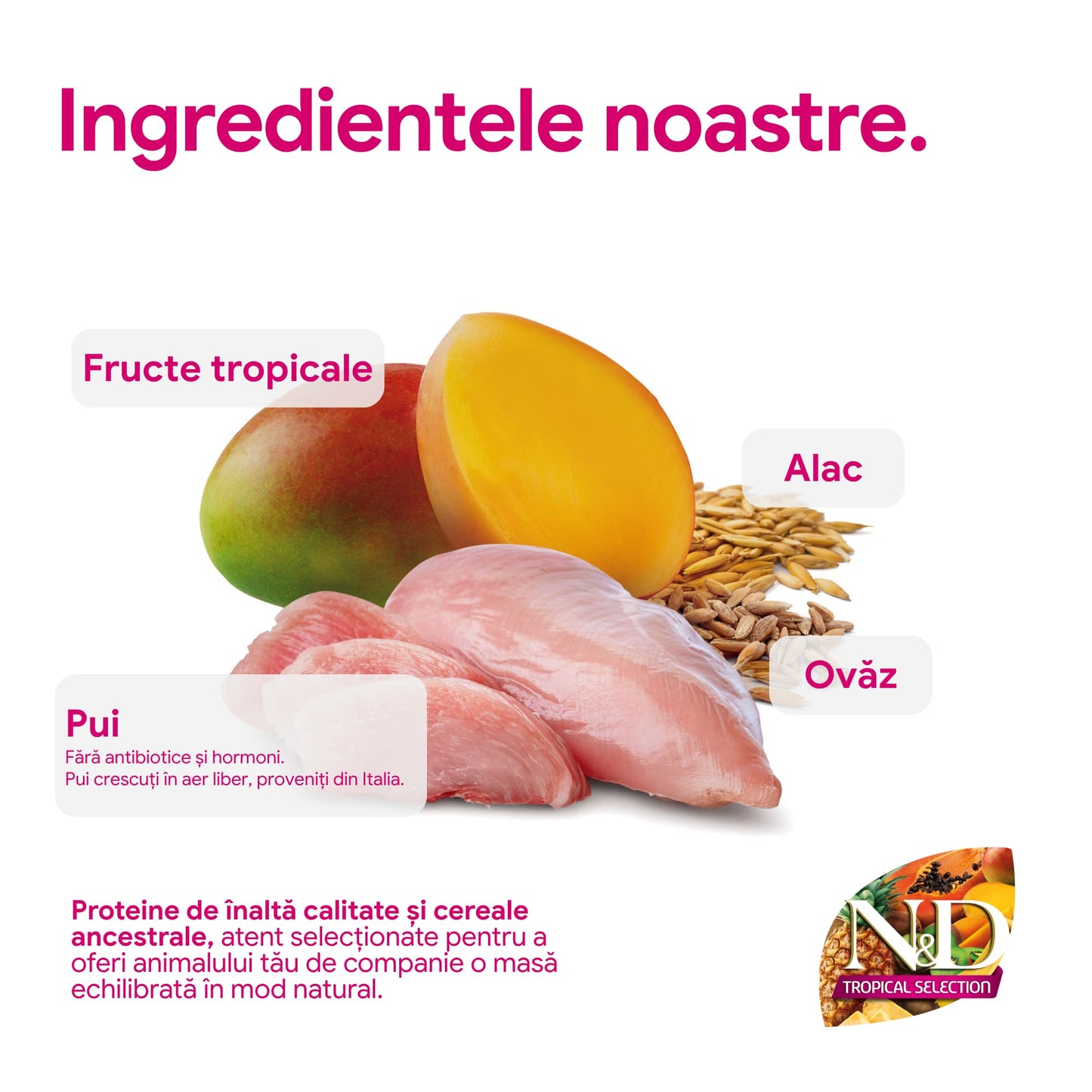 Farmina N&D Tropical Selection, Pui și Fructe Tropicale, Pisici Sterilizate