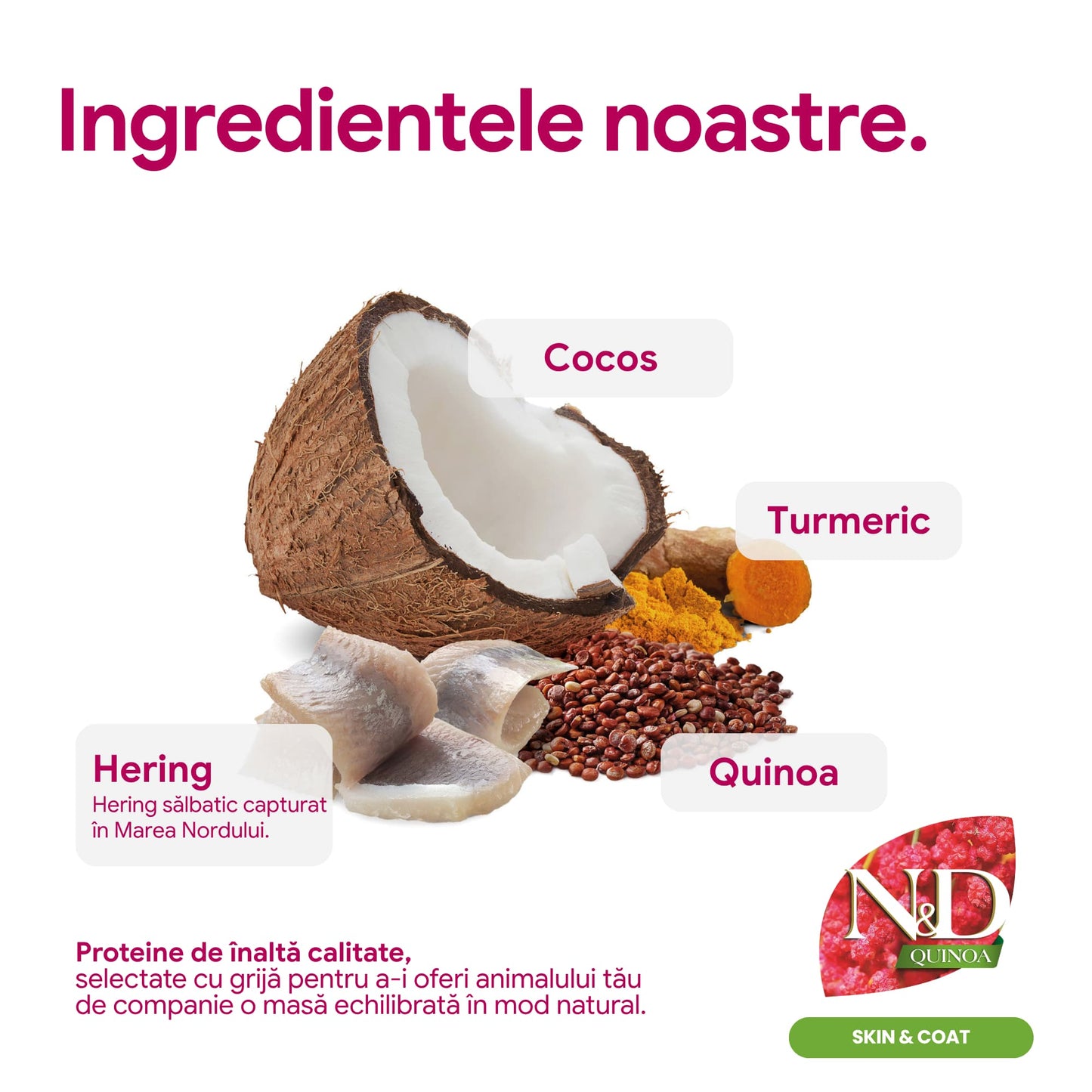 Farmina N&D Quinoa Skin & Coat Hering si Cocos, Adult Cat, 5 KG