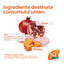 Farmina N&D Pumpkin, Pui și Rodie, Adult Mini