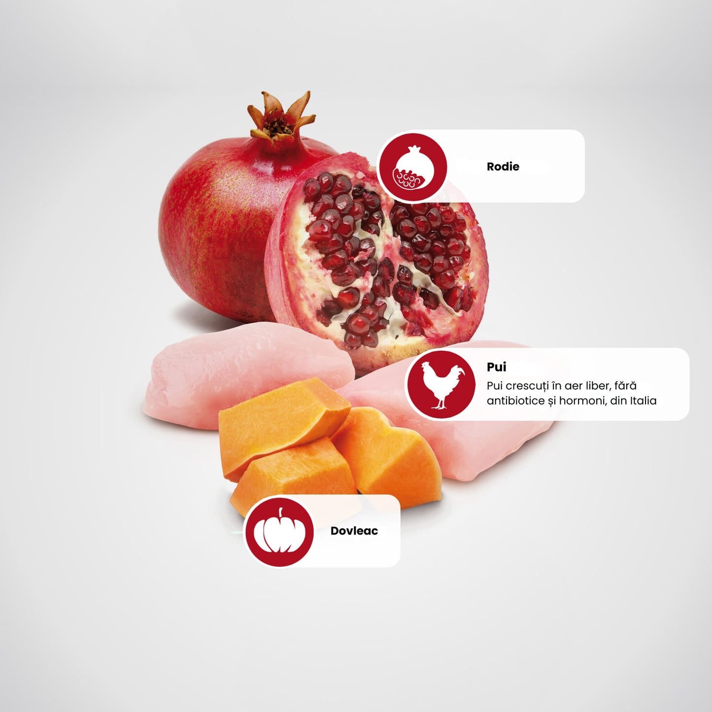 Farmina N&D Pumpkin, Pui și Rodie, Adult, Hrană Umedă pentru Câini – 285 g
