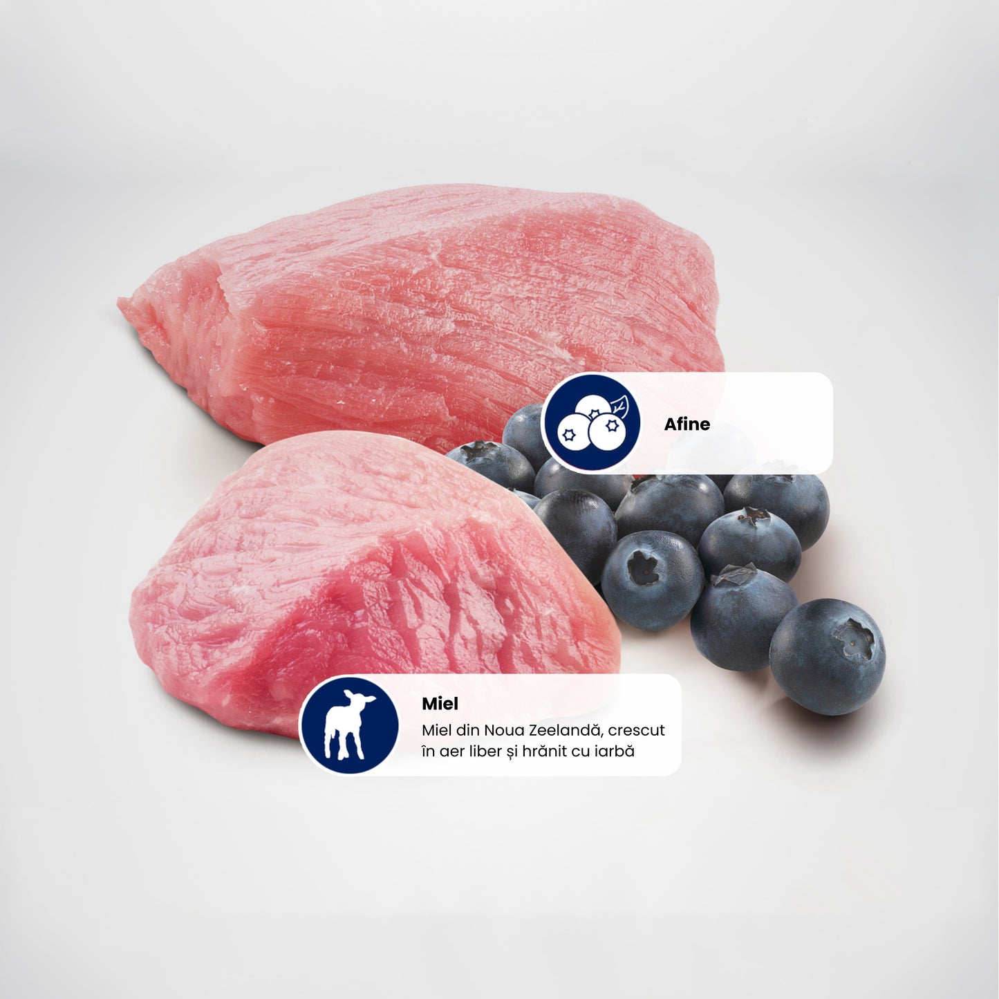 Farmina N&D Prime, Miel și Afine, Adult Mini, Hrană Umedă pentru Câini – 140 g
