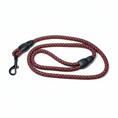 Lesa cordelina caini 120cm rezistenta rase mici medii mari – PETIVO
