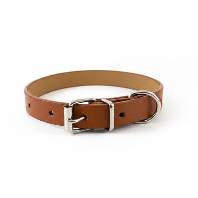 Zgardă reglabilă pentru câini culoare Maro, lățime 1.5 cm, cataramă metalică și inel pentru lesă
